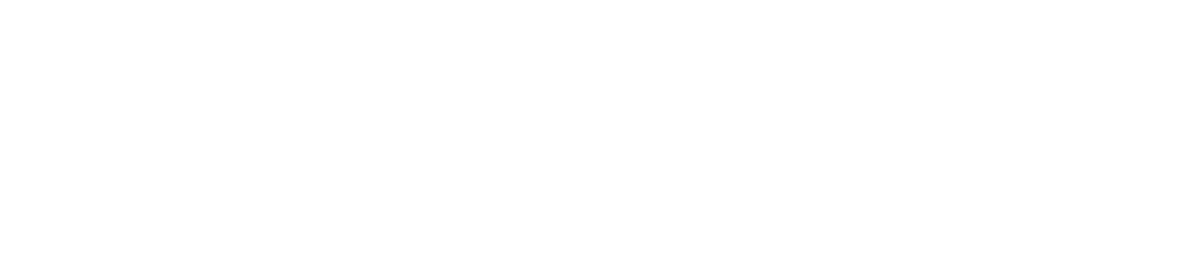iForte.AI